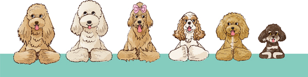 バニーベア犬舎