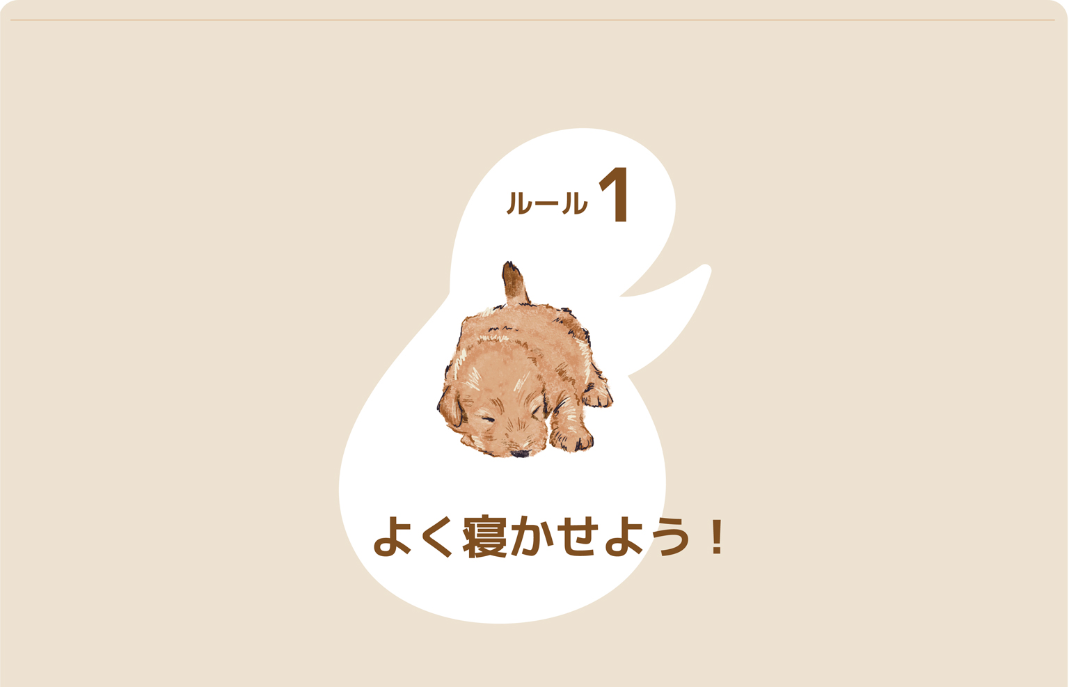 Bunny&Bear Kennelの飼育ガイド