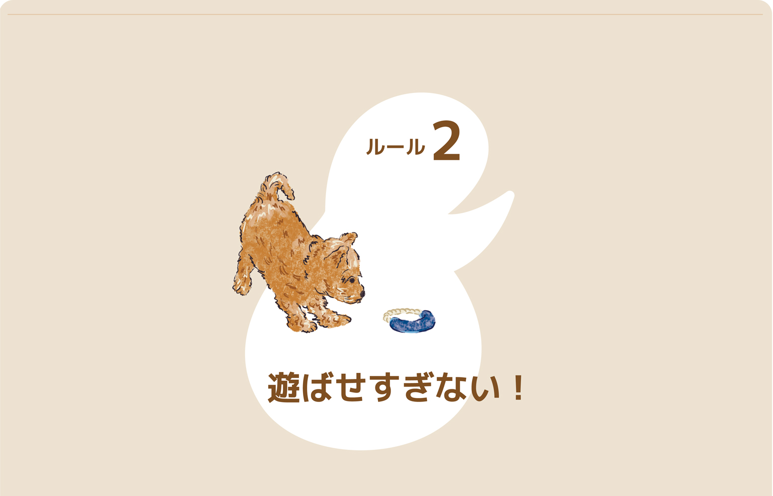 Bunny&Bear Kennelの飼育ガイド