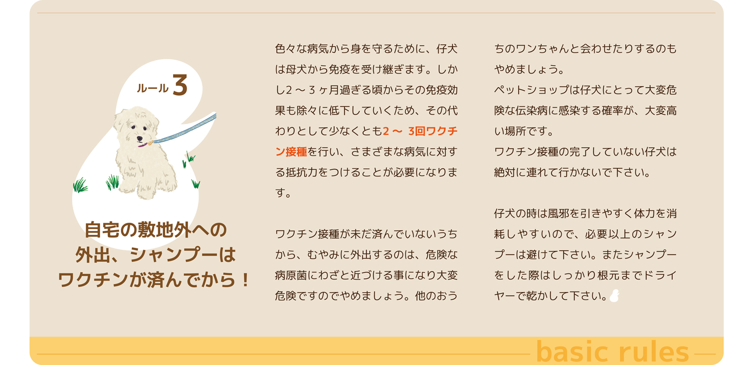 Bunny&Bear Kennelの飼育ガイド