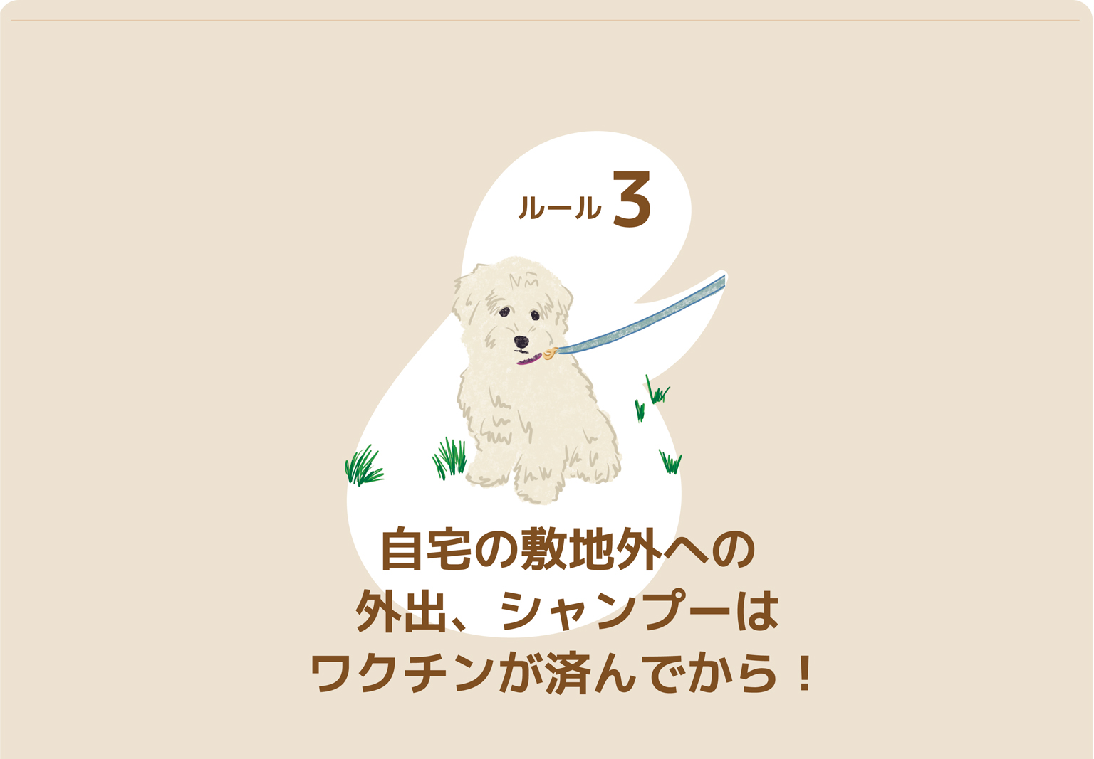 Bunny&Bear Kennelの飼育ガイド