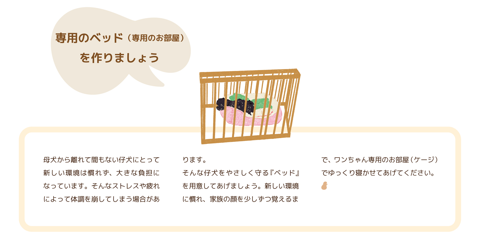 バニーベア犬舎の飼育ガイド