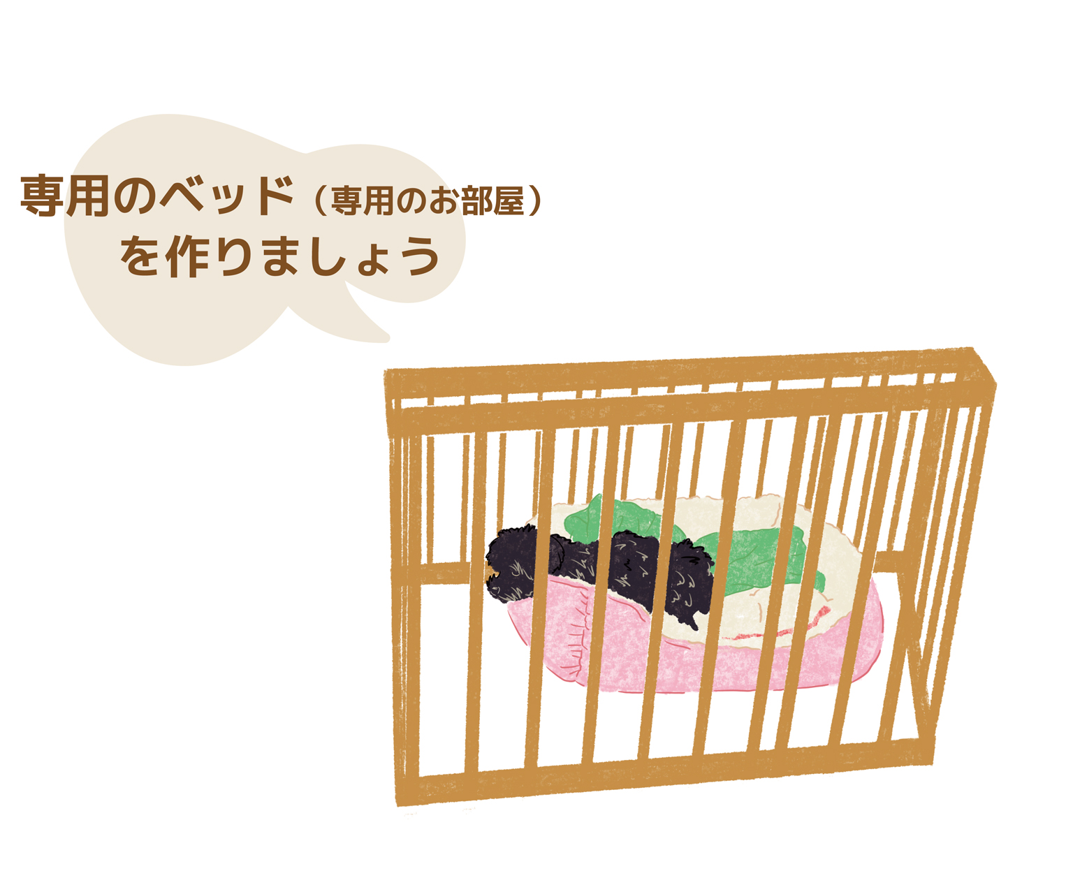 Bunny&Bear Kennelの飼育ガイド