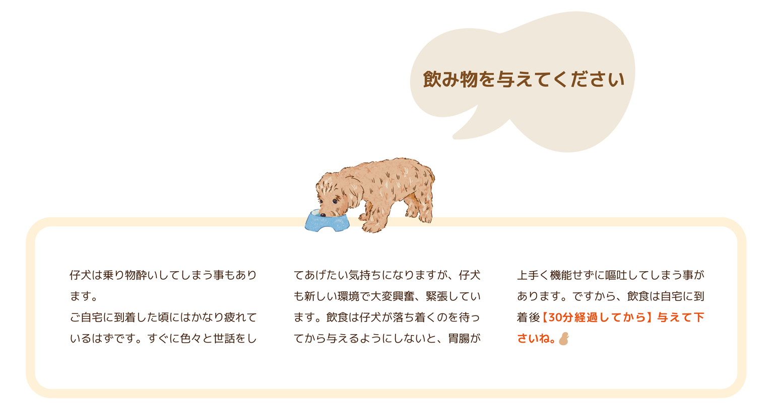 Bunny&Bear Kennelの飼育ガイド