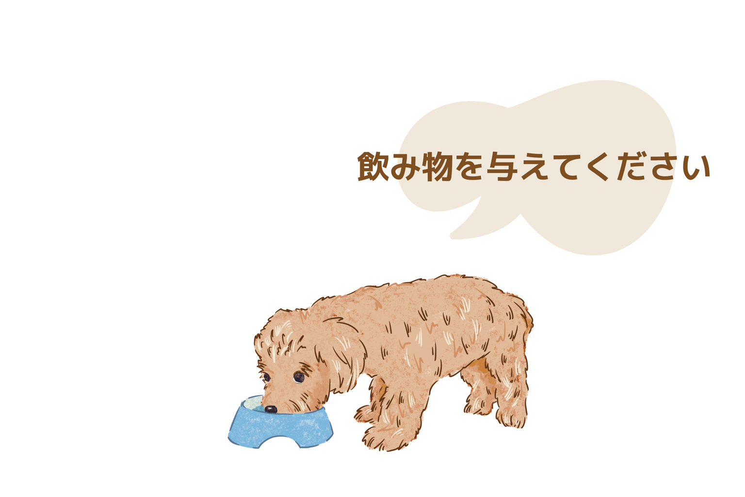 Bunny&Bear Kennelの飼育ガイド