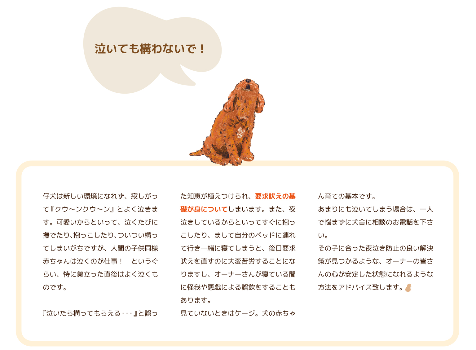 バニーベア犬舎の飼育ガイド