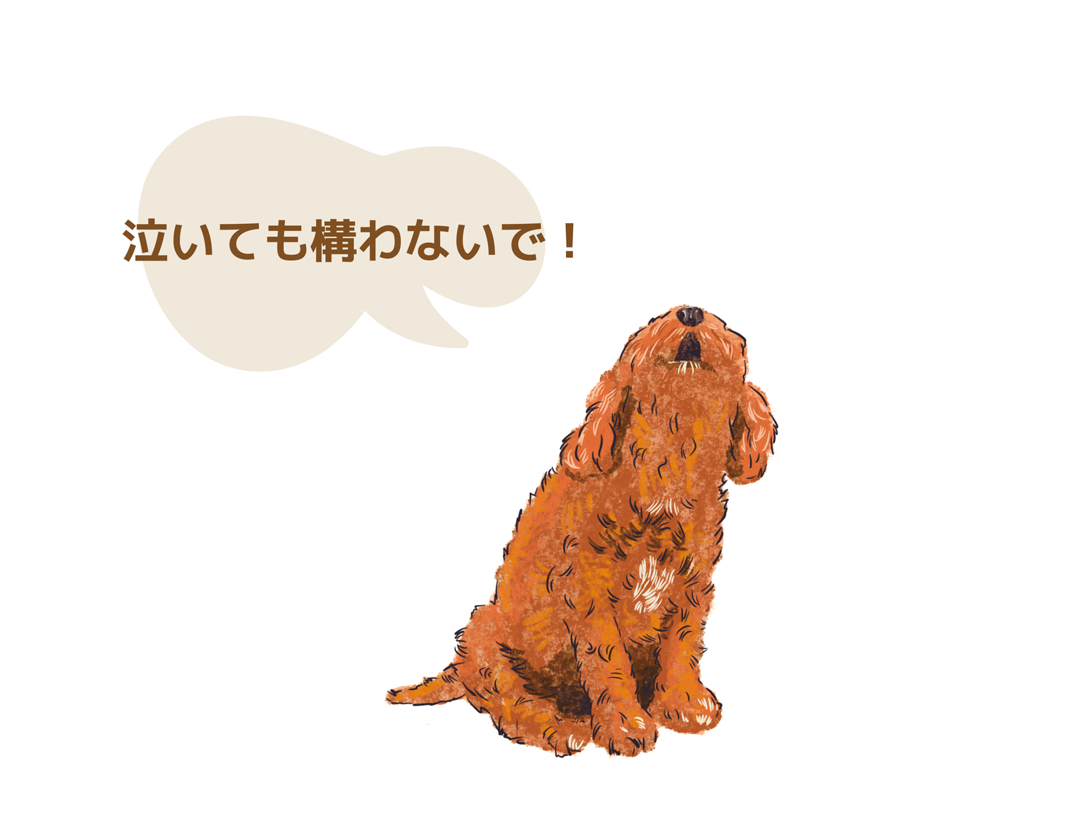Bunny&Bear Kennelの飼育ガイド