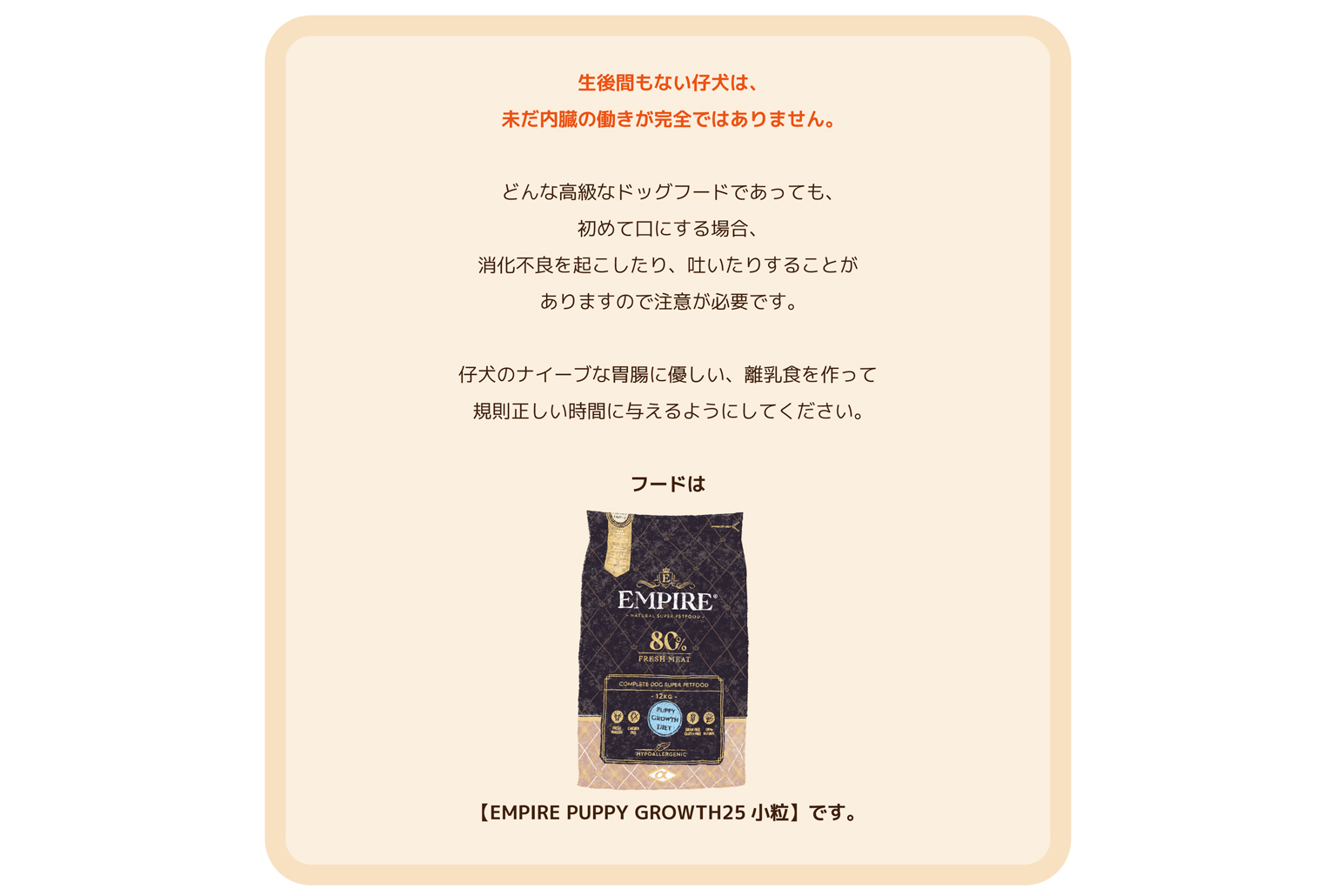 Bunny&Bear Kennelの飼育ガイド