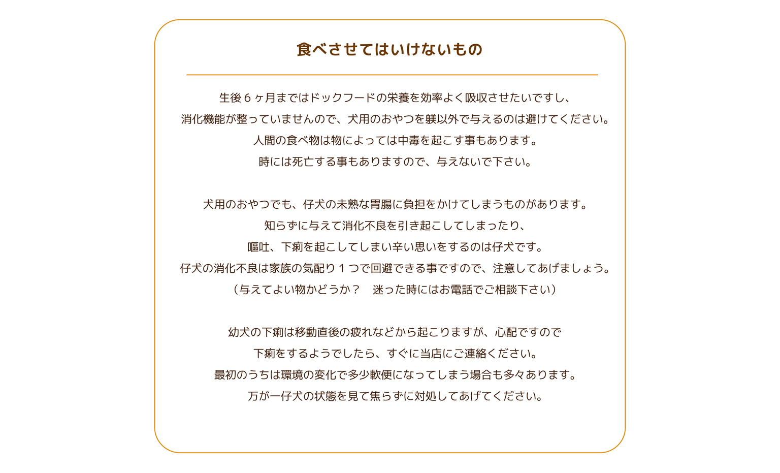 Bunny&Bear Kennelの飼育ガイド