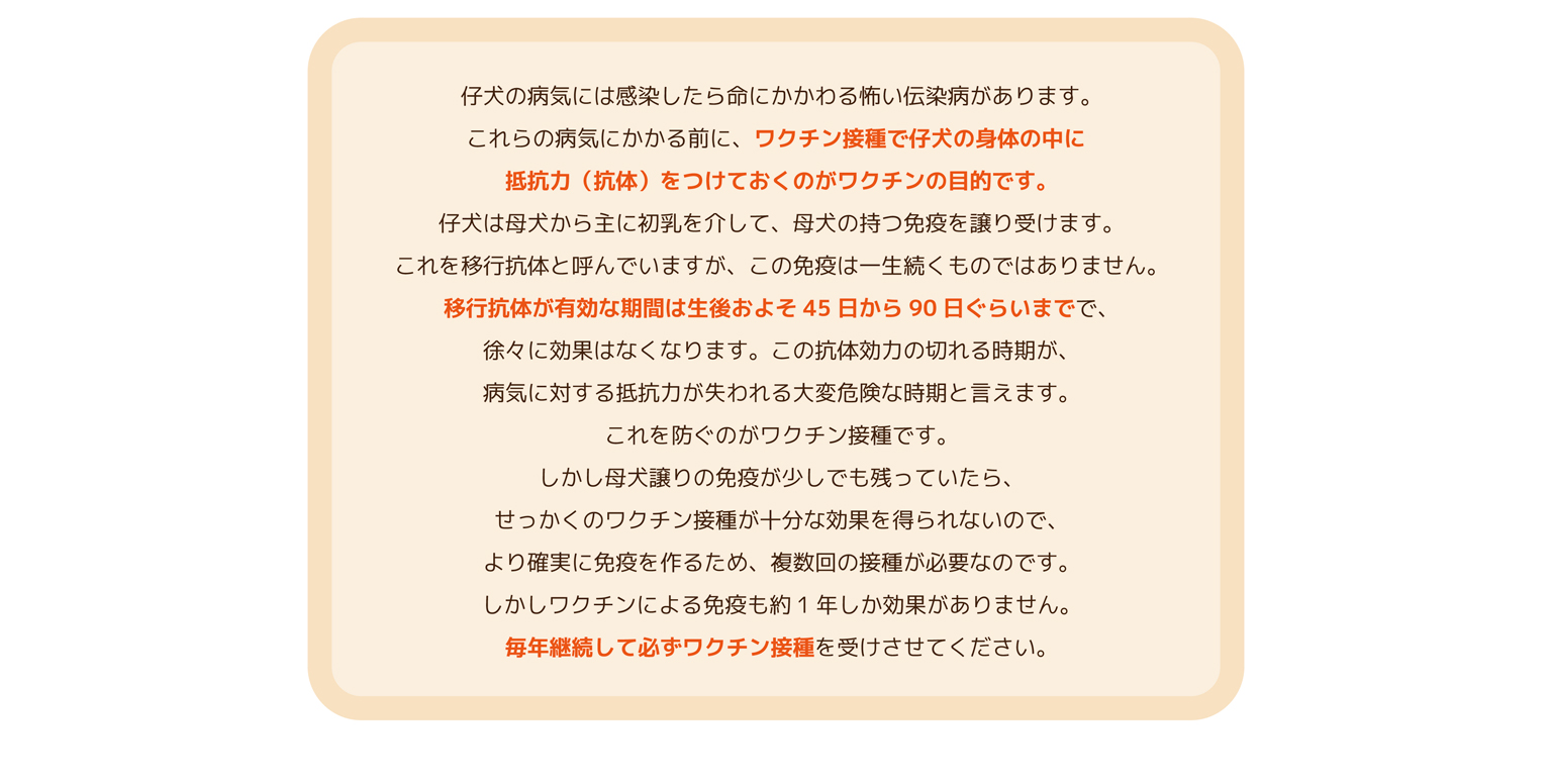 Bunny&Bear Kennelの飼育ガイド