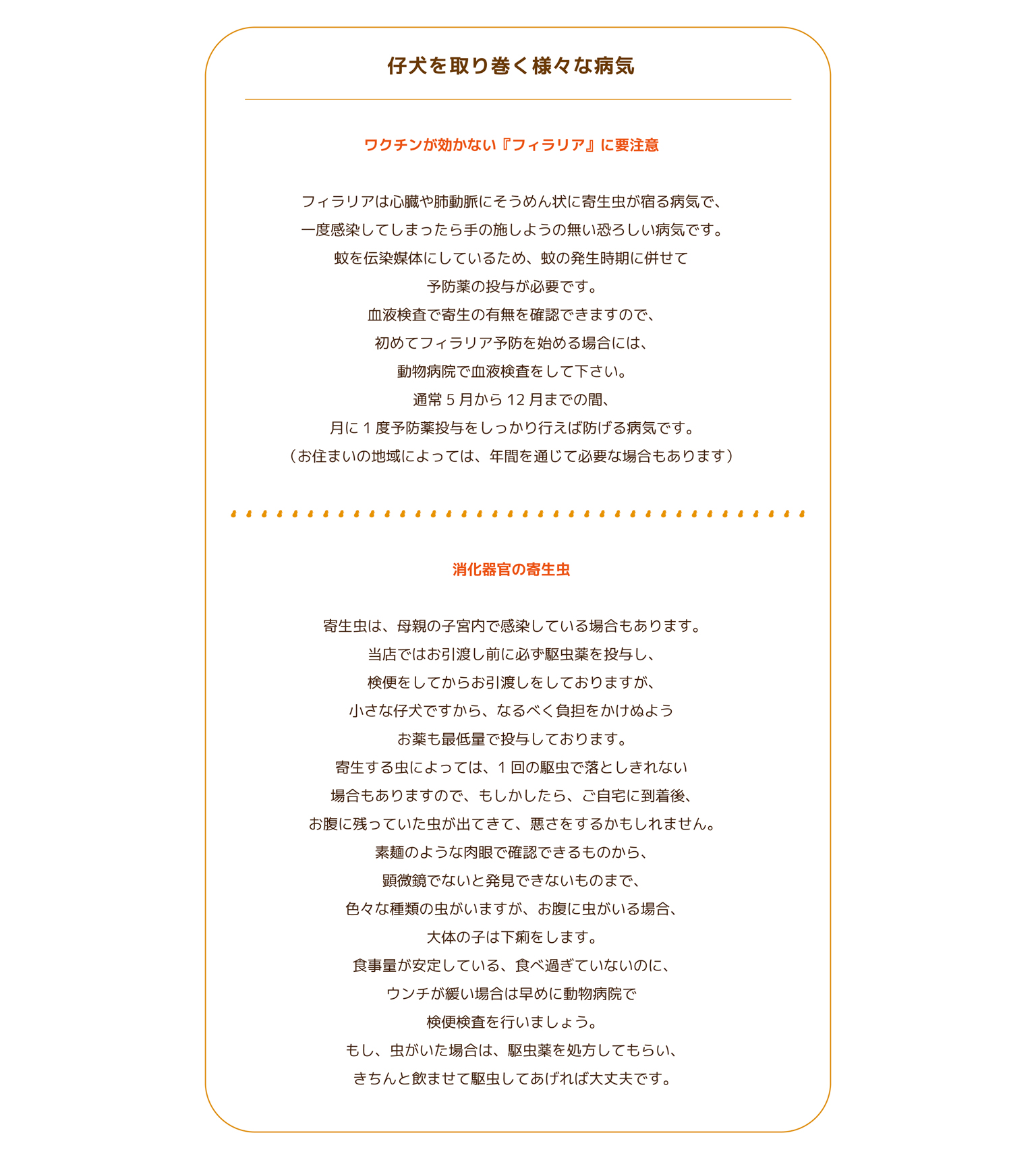 Bunny&Bear Kennelの飼育ガイド