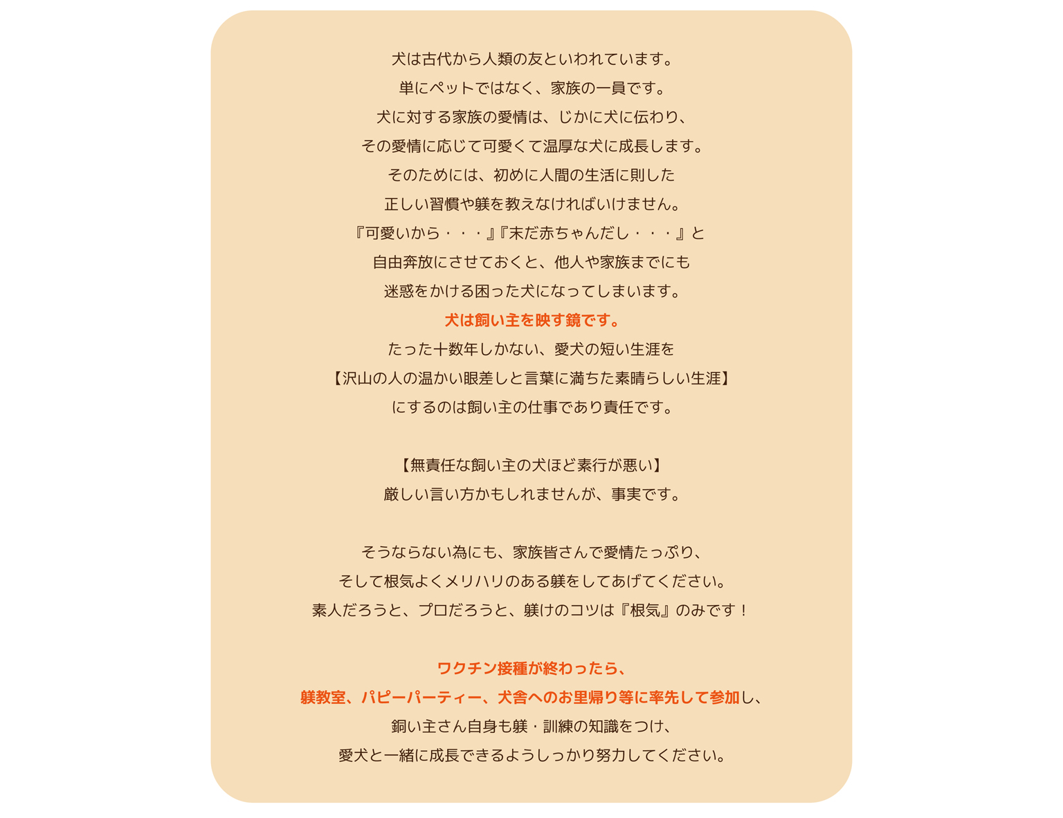 バニーベア犬舎の飼育ガイド