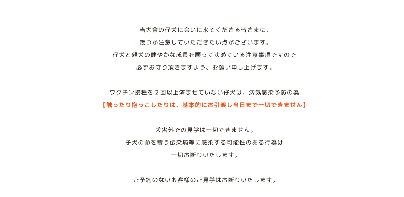 Bunny&Bear Kennelののご見学について&アクセス