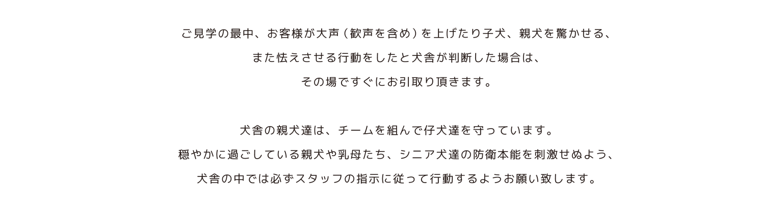 バニーベア犬舎のご見学について&アクセス