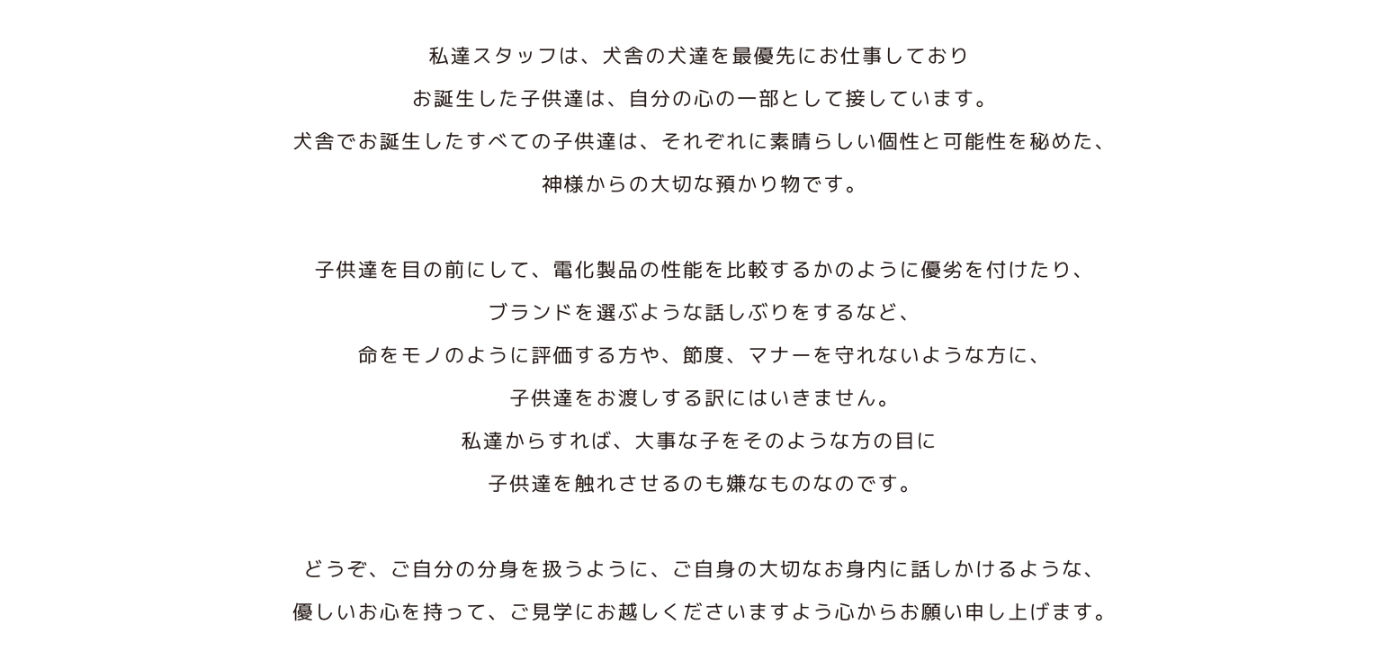 Bunny&Bear Kennelののご見学について&アクセス