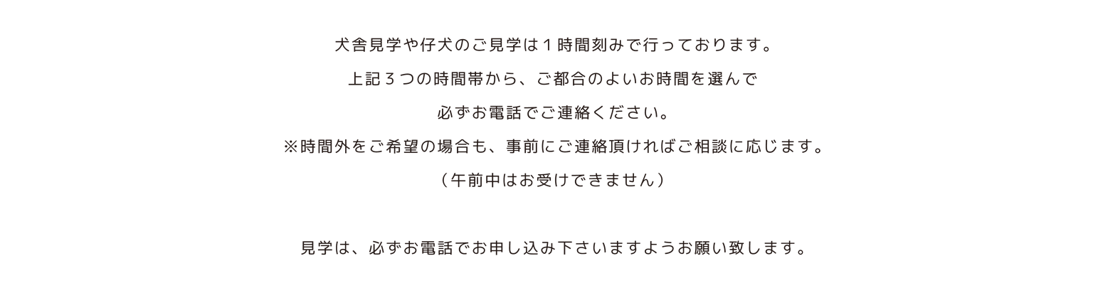 バニーベア犬舎の飼育ガイド